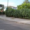 23 maggio 2011 Sabaudia: Il Verde è Vita